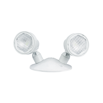 LED Remote Head – Double, 5-12V DC, 500 Lumens, 5000K - Buchanan Lighting LTD.