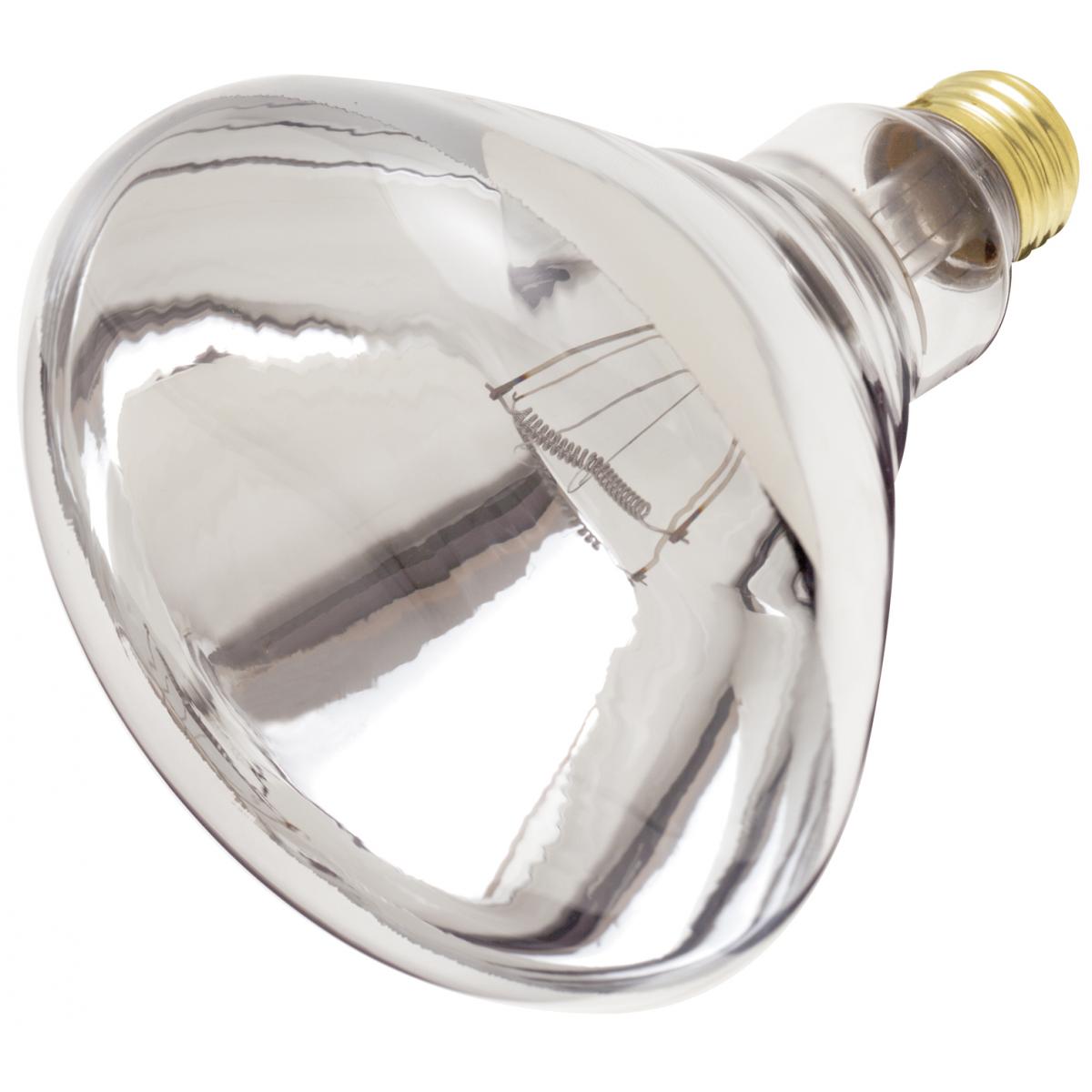 E26 250W R40 Infrared Heat Lamp | 12-Pack | Clear Glass | 120V | 6000 Hours | Dimmable - Buchanan Lighting LTD.