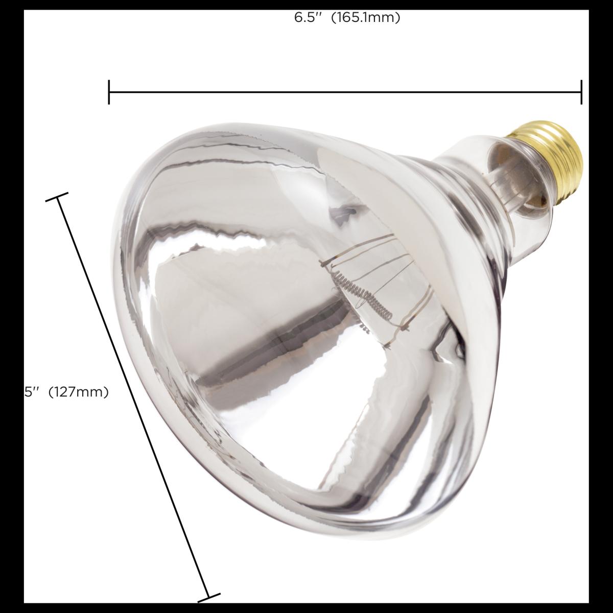 E26 250W R40 Infrared Heat Lamp | 12-Pack | Clear Glass | 120V | 6000 Hours | Dimmable - Buchanan Lighting LTD.