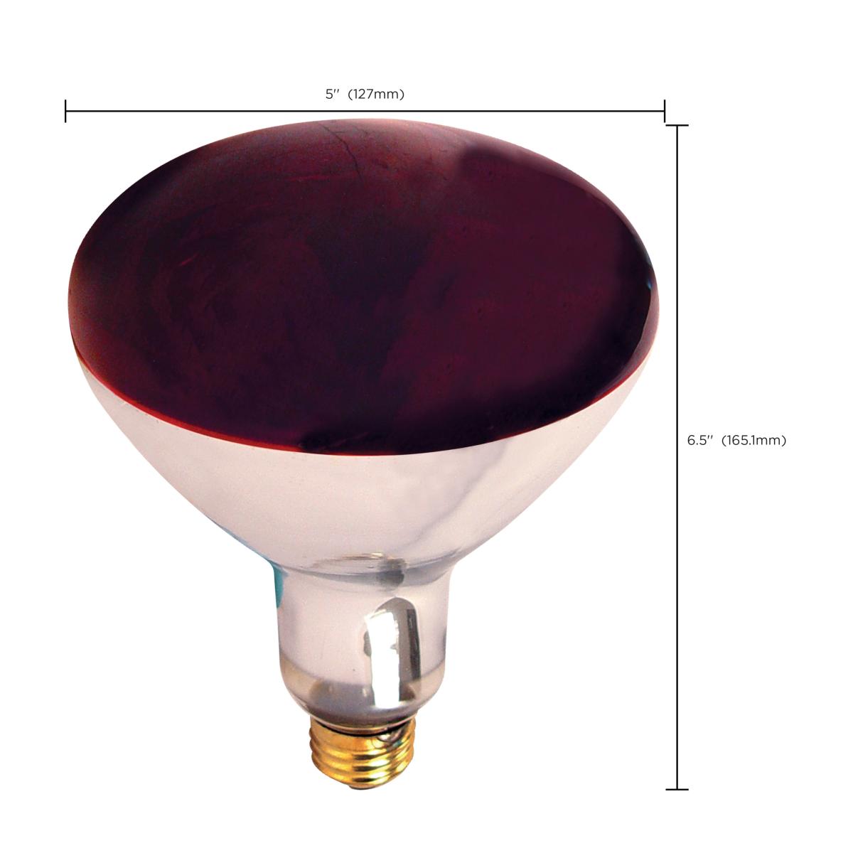E26 250W R40 Infrared Heat Lamp | 12-Pack | Red Glass | 120V | 6000 Hours | Dimmable - Buchanan Lighting LTD.