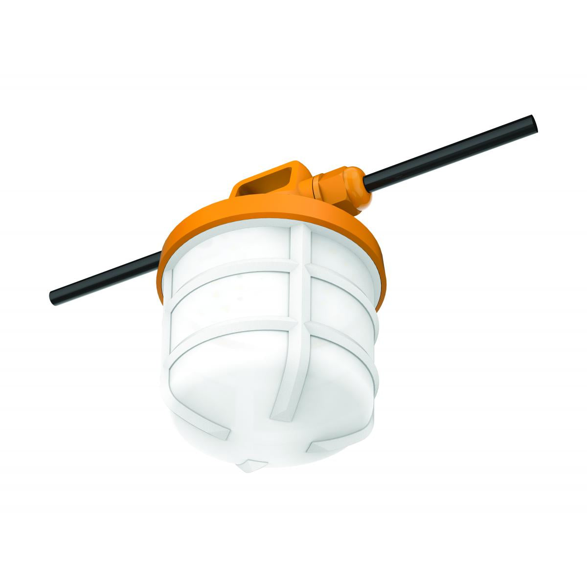 50FT LED String Light – 50W, 5 Interconnected Lamps, 5000K, IP65 Rated - Buchanan Lighting LTD.