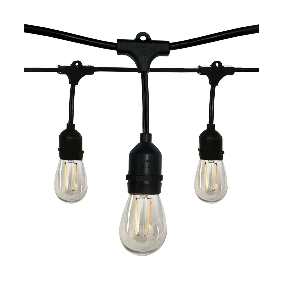 24-Foot LED String Light – 12 Vintage Edison Bulbs, Weatherproof, 120V - Buchanan Lighting LTD.
