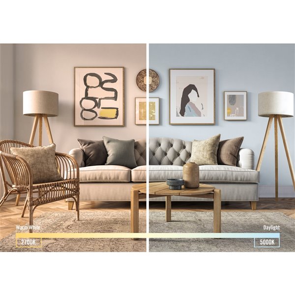 Luminus 8W A19 LED Bulb | 12-Pack | 2700K & 5000K | 800LM | Dimmable | 60W Equivalent - Buchanan Lighting LTD.