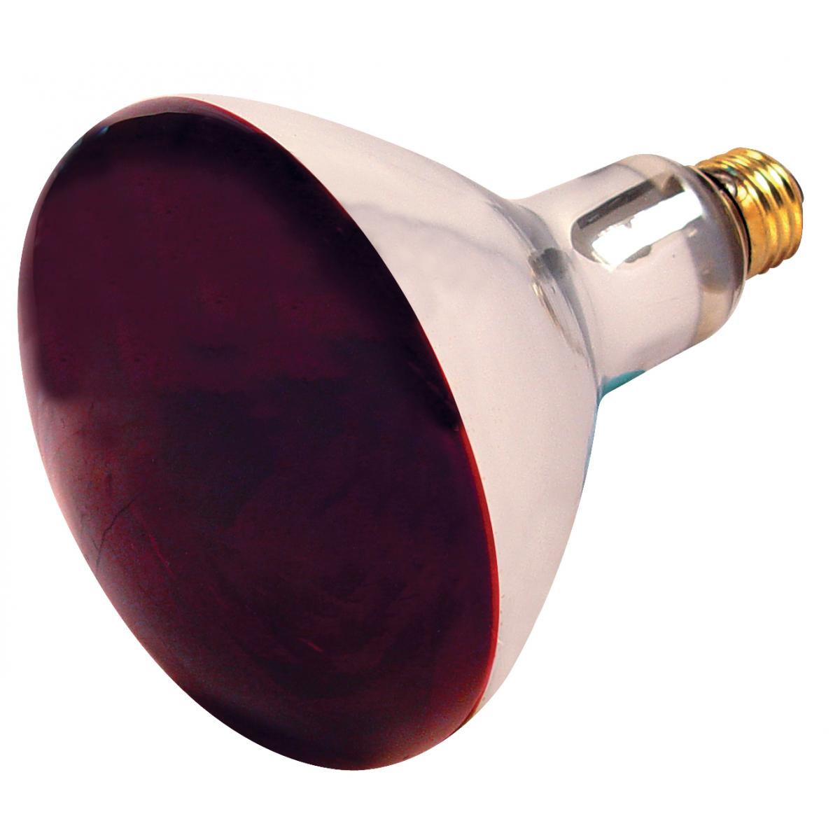 E26 250W R40 Infrared Heat Lamp | 12-Pack | Red Glass | 120V | 6000 Hours | Dimmable