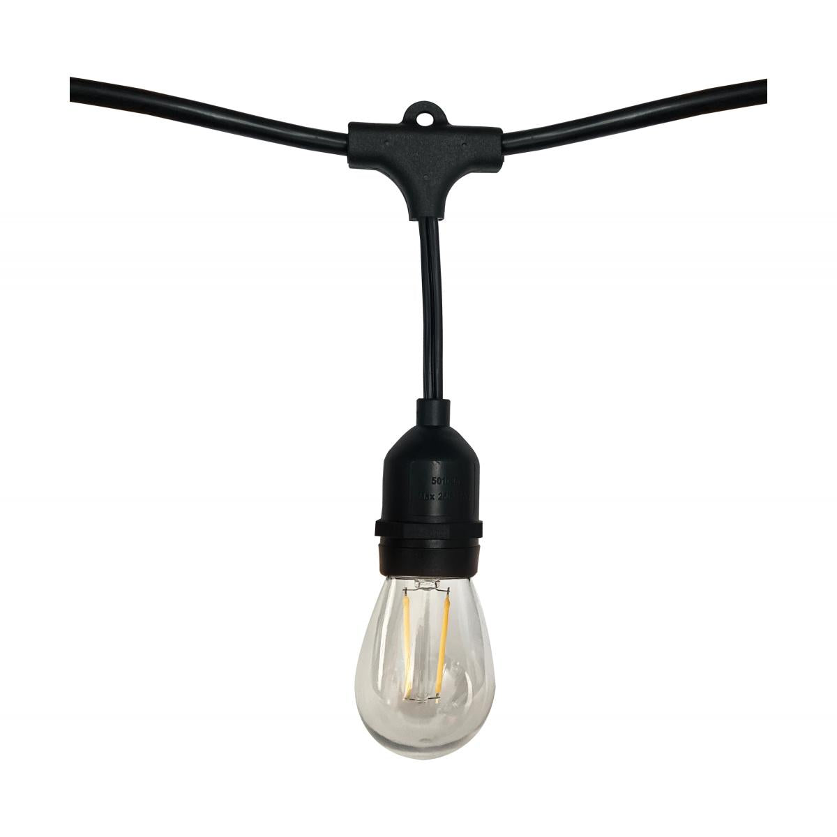 24-Foot LED String Light – 12 Vintage Edison Bulbs, Weatherproof, 120V - Buchanan Lighting LTD.