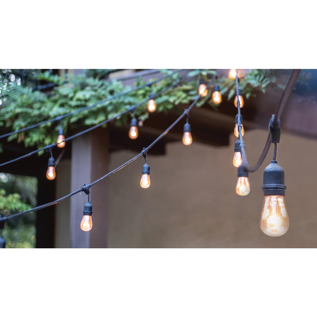 24-Foot LED String Light – 12 Vintage Edison Bulbs, Weatherproof, 120V - Buchanan Lighting LTD.