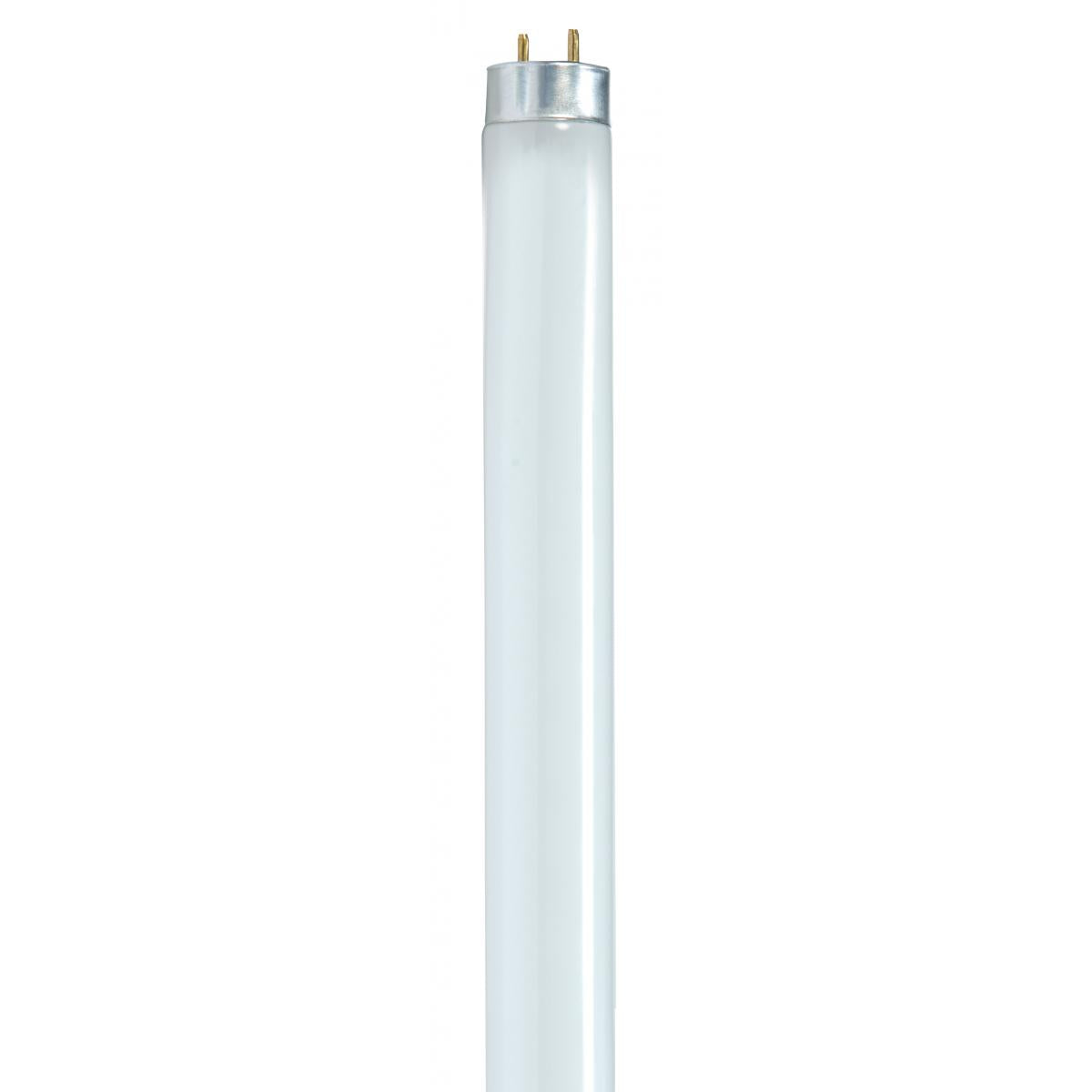 32W T8 Linear Fluorescent Tube | 4100K Cool White