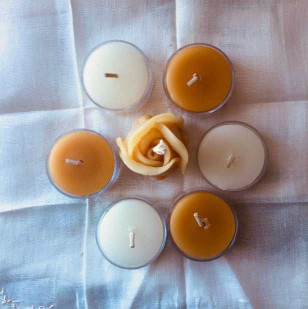 Spring Candle Value Box | 100% Canadian Beeswax | Handmade | 70+ Hour Burn | Eco-Friendly Gift Set